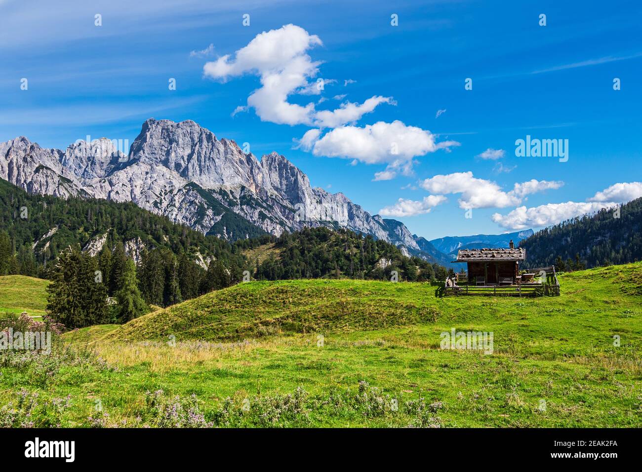 Vista sul pascoli di montagna Litzlalm nelle Alpi, Austria Foto Stock