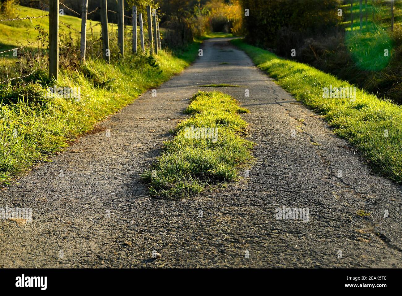 vecchio senso surcresciuto con erba Foto Stock