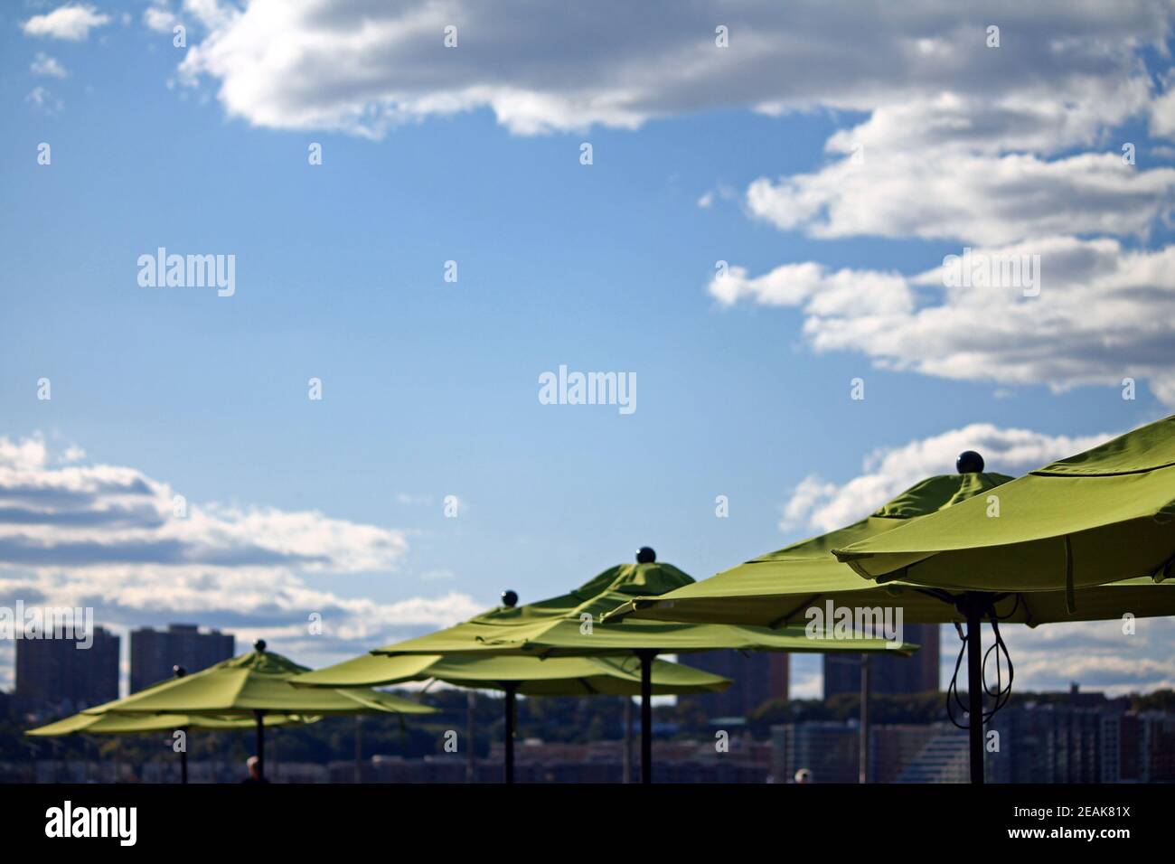 Una serie di ombrelli verdi in una giornata estiva Foto Stock