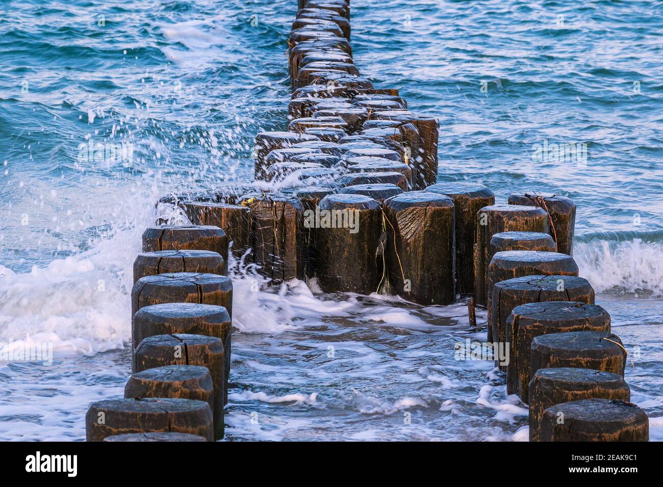 Pennelli sulla riva del Mar Baltico su un giorno di tempesta Foto Stock