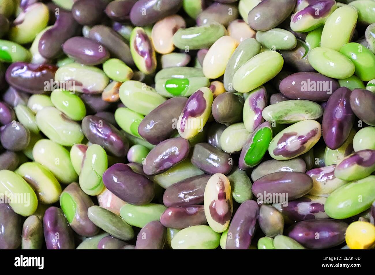 Sfondo di various beands fresche e verdi porpora Foto Stock