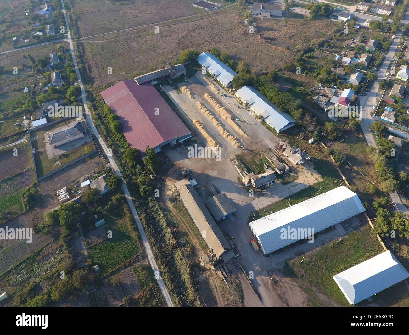 Hangar per deposito di grano. Una piattaforma per l'essiccazione e la sinterizzazione del grano. Grano raccolto Foto Stock