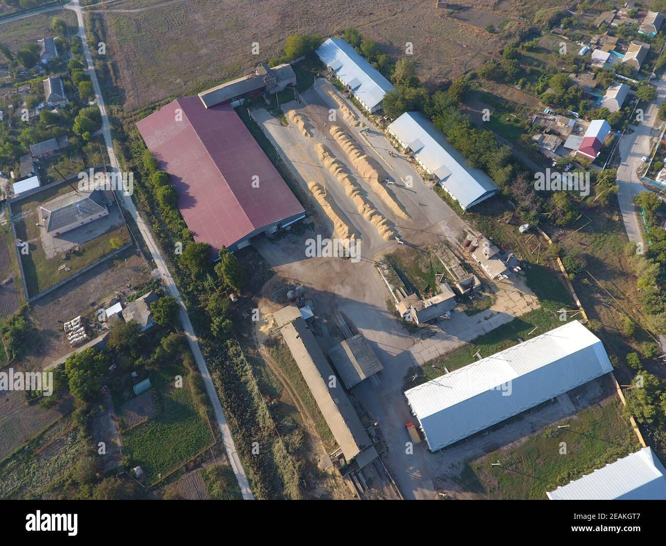 Hangar per deposito di grano. Una piattaforma per l'essiccazione e la sinterizzazione del grano. Grano raccolto Foto Stock