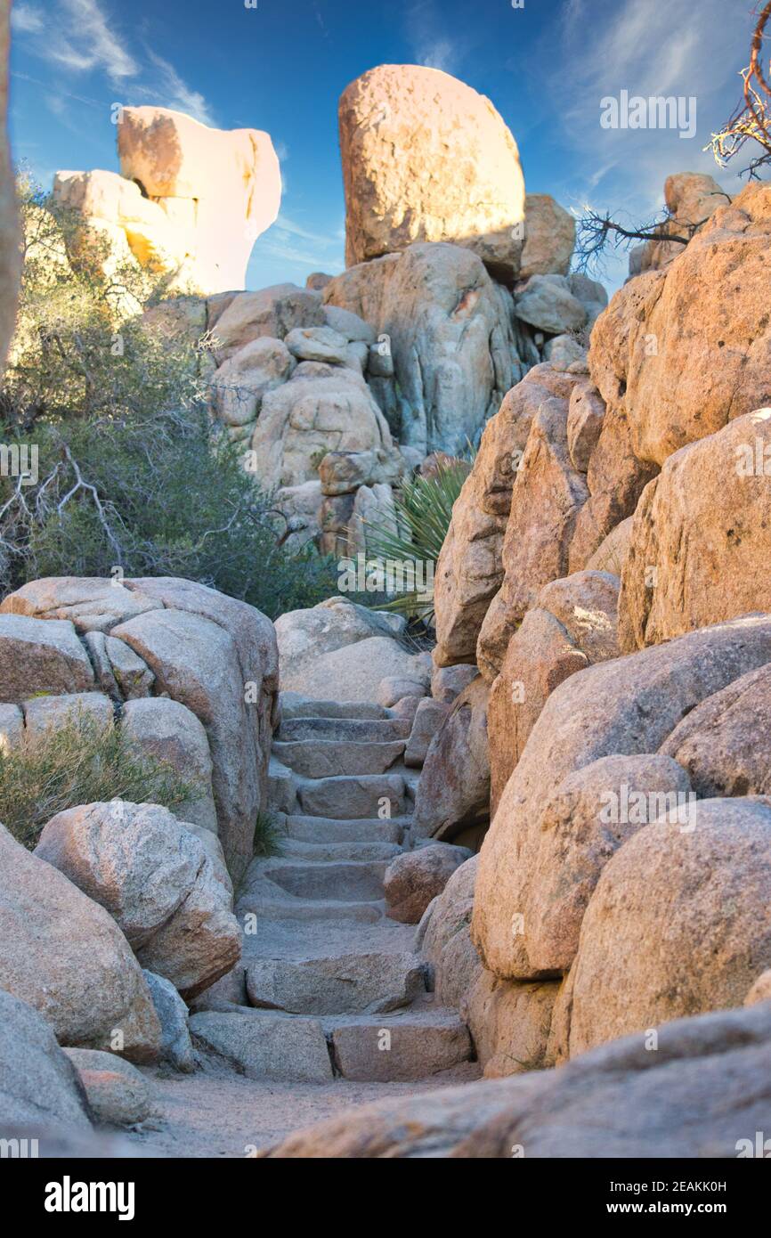 Rocce e massi con scale scolpite in pietra a Joshua Tree National Park California Stati Uniti Foto Stock