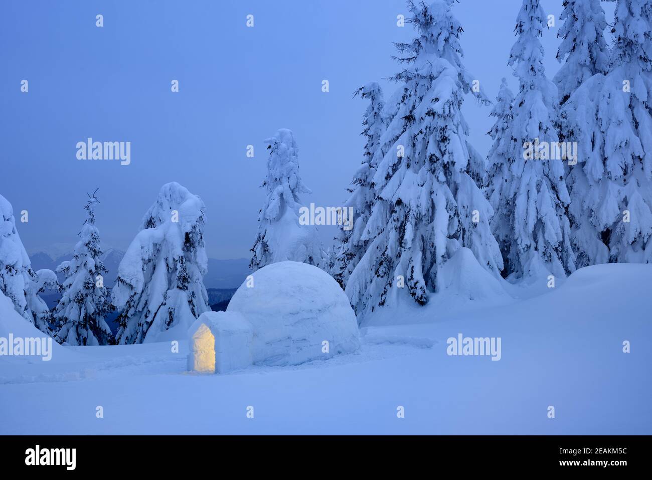 Paesaggio invernale con neve igloo Eskimo in abete di montagna foresta Foto Stock