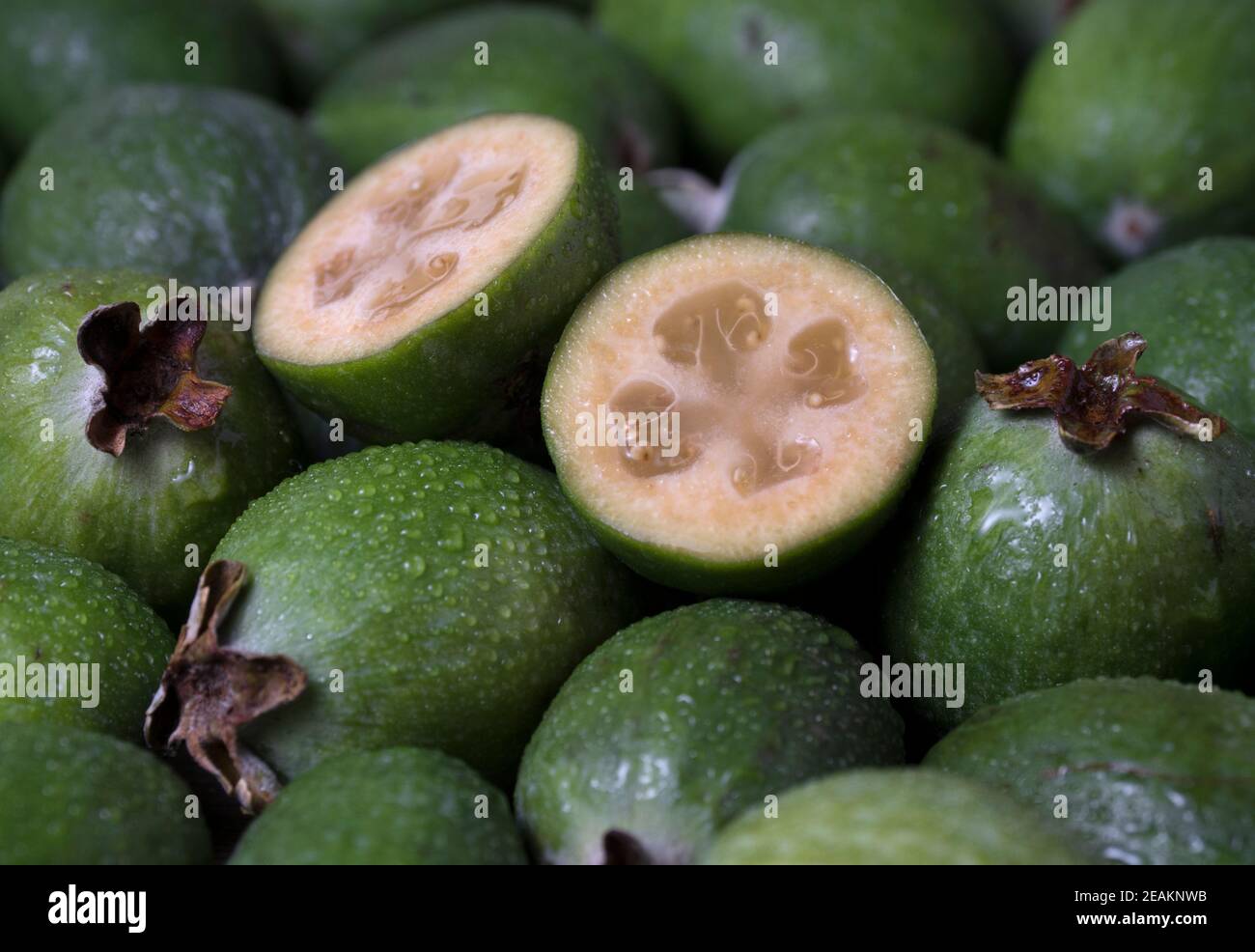 Verde feijoa frutta (Acca sellowiana) motivo di sfondo. Foto Stock