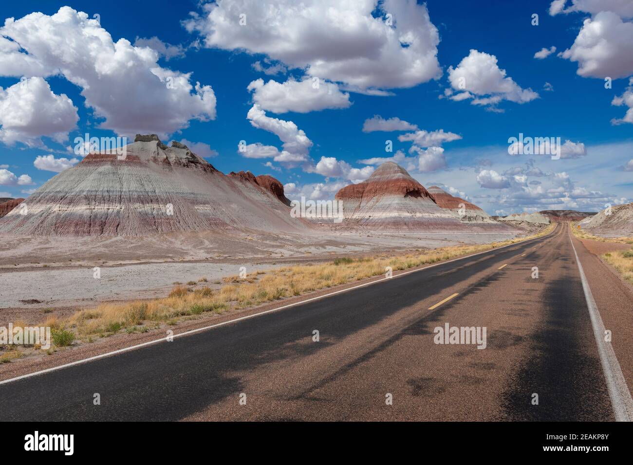 Vista panoramica di una strada nel Parco Nazionale del deserto pietrificato, nello stato dell'Arizona, USA; concetto di viaggio in America e viaggio su strada Foto Stock