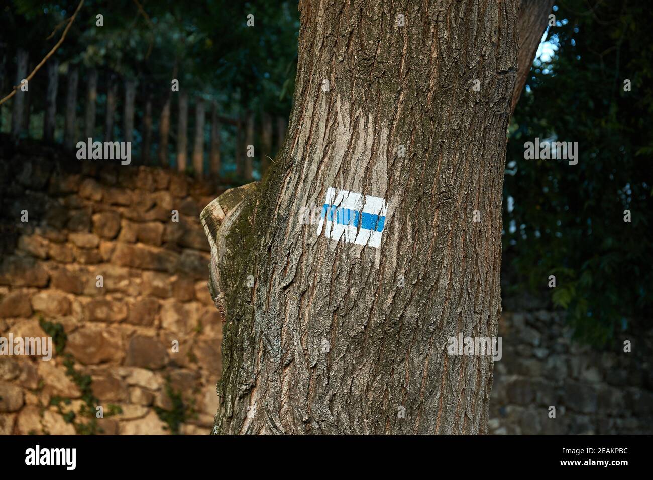 Sentiero escursionistico segni Foto Stock