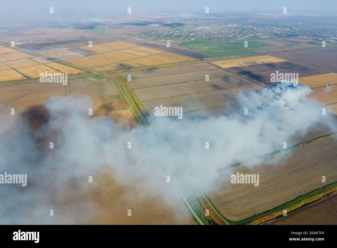 La combustione di paglia di riso nei campi. Fumo dalla combustione della paglia di riso nei controlli. Fuoco sul campo Foto Stock