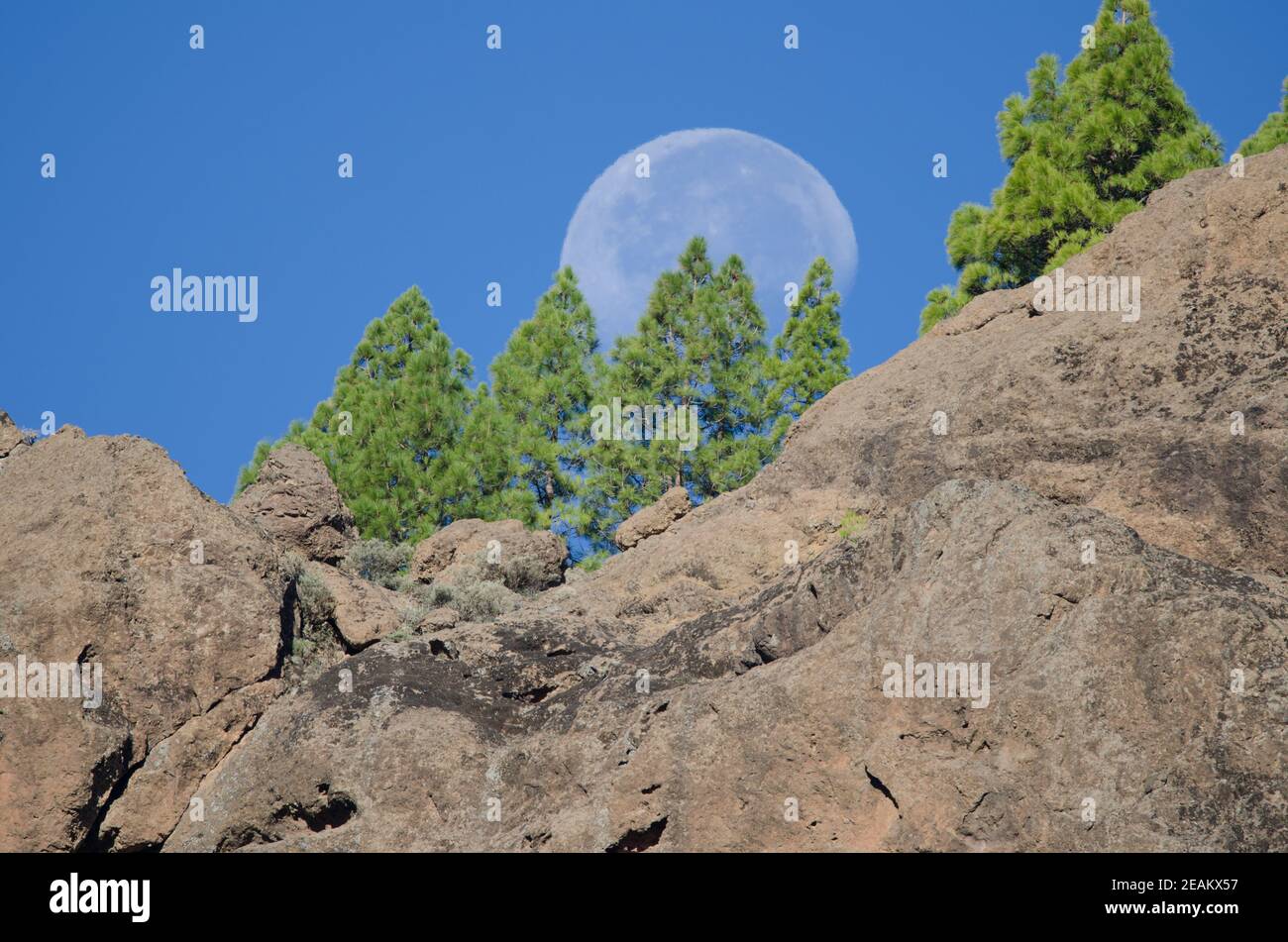 Scogliera e luna nel Monumento Naturale di Nublo. Foto Stock