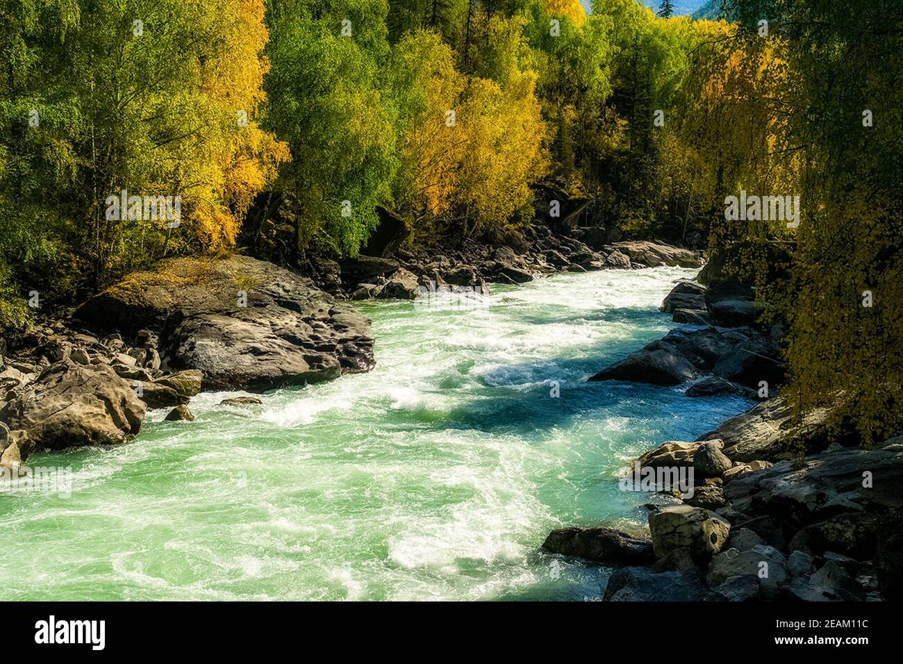 il fiume di montagna scorre sopra le rocce. I fiumi sono altai. La natura è altai. Foto Stock