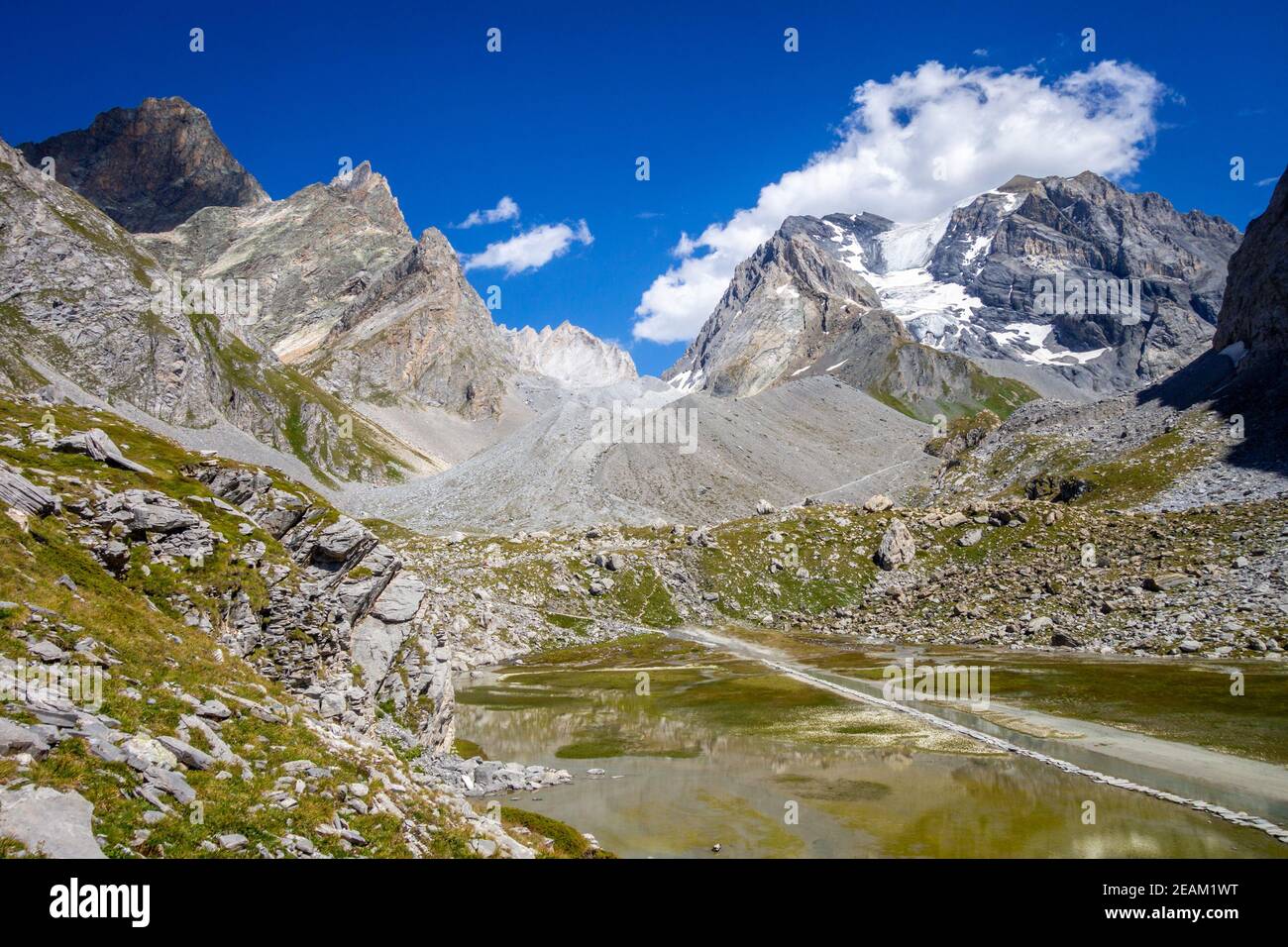 Lago di mucca, Lac des Vaches, nel Parco Nazionale della Vanoise, Francia Foto Stock