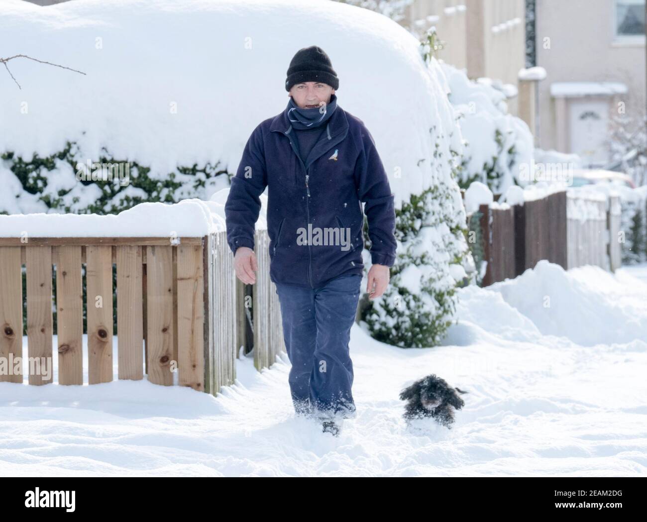 Lothian occidentale, Scozia. Meteo: 10 febbraio 2021 Storm Darcy: John Lamsden e il suo cane Gucci camminano attraverso la neve a Stoneyburn, West Lothian, Scozia, Regno Unito. . Credit: Ian Rutherford/Alamy Live News. Foto Stock