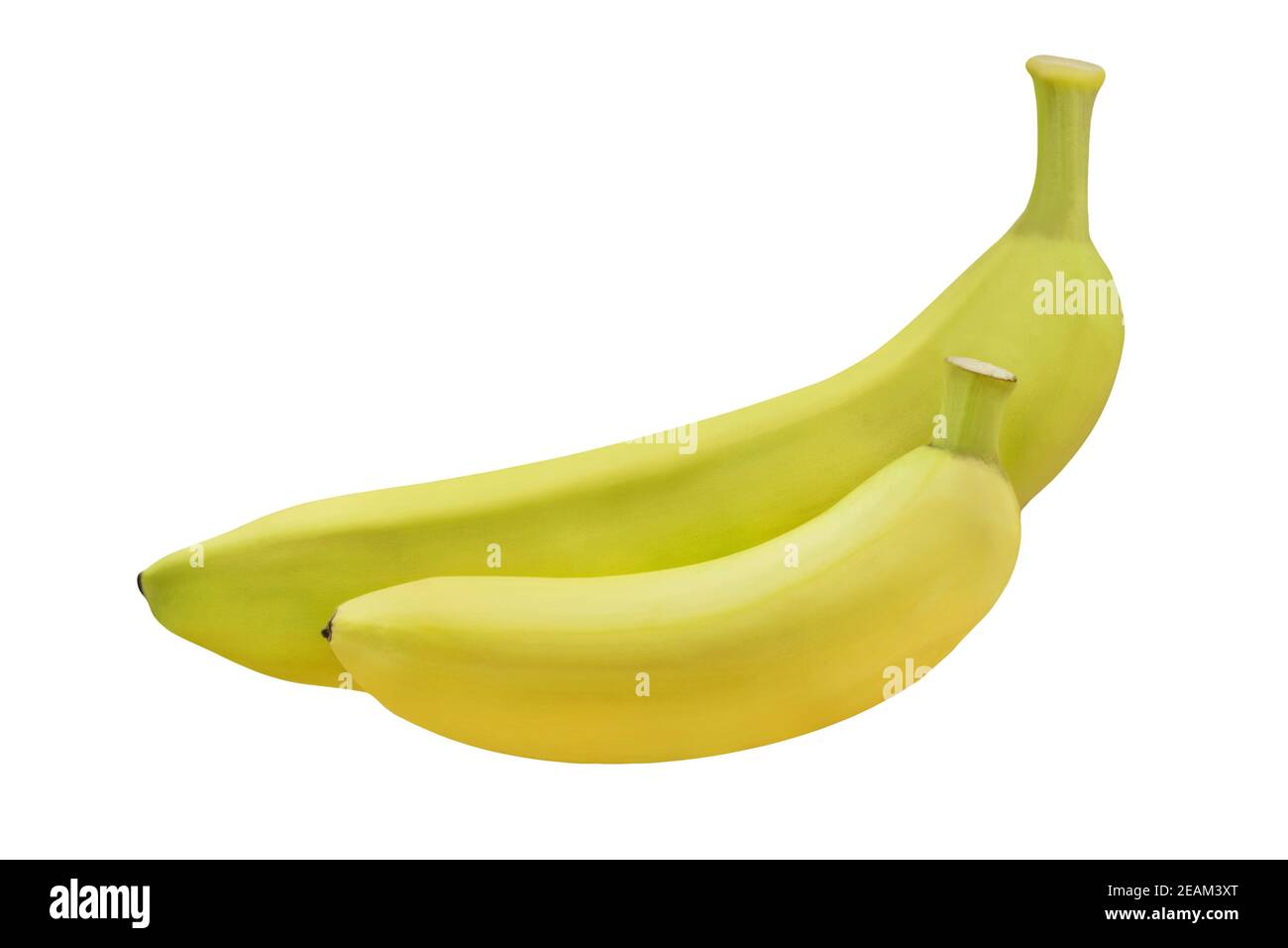 Banana e Baby Banana su sfondo di legno Foto Stock