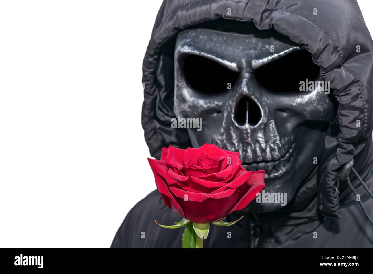 Rosa rossa sullo sfondo di un uomo in a. Maschera di morte e un cappuccio  in stile gotico per Halloween Foto stock - Alamy