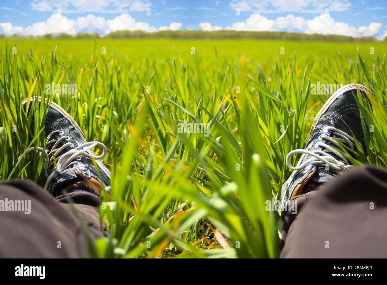 Piedi erba. Piedi in sneakers in erba verde. Tempo di relax. Momento di riposo. Stile di vita sano. Erba fresca e fiorente in prato. Messa a fuoco selettiva Foto Stock