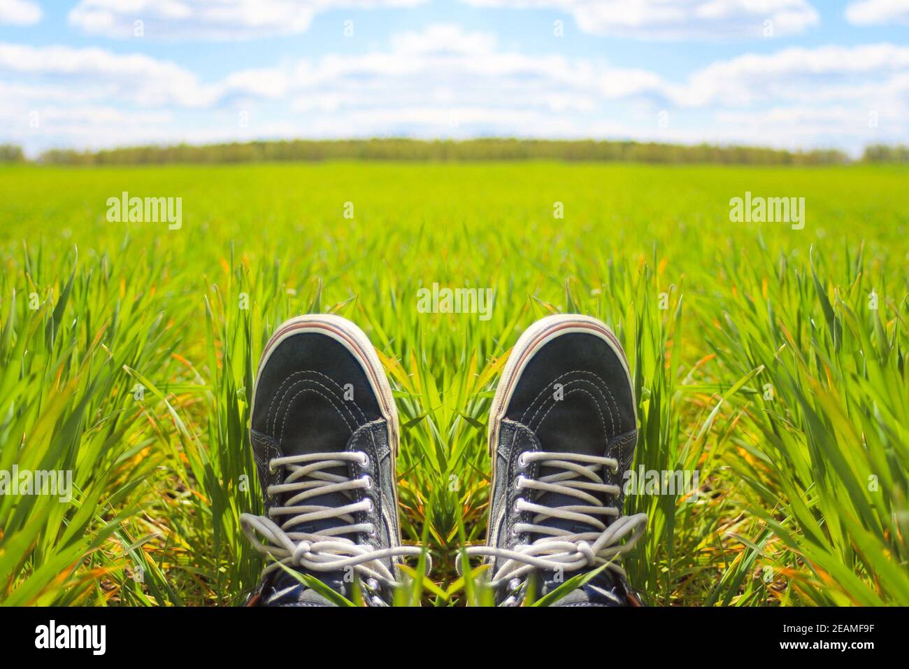 Piedi erba. Piedi in sneakers in erba verde in giornata di sole. Tempo di relax. Momento di riposo. Stile di vita sano. Erba verde fresca in terreno prato. Sport Foto Stock