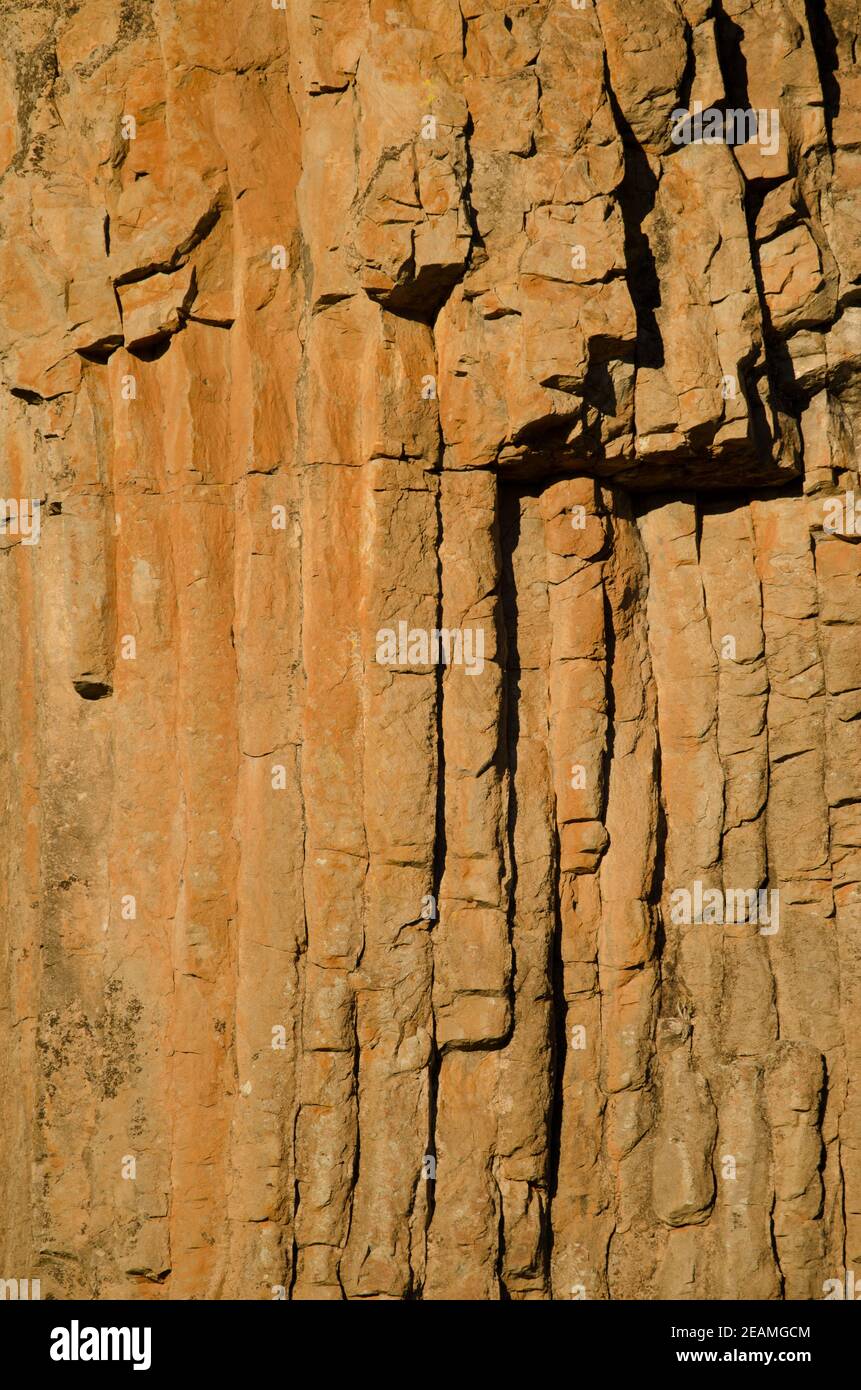 Colonnati basaltici nella scogliera del Morro de Pajonales. Foto Stock