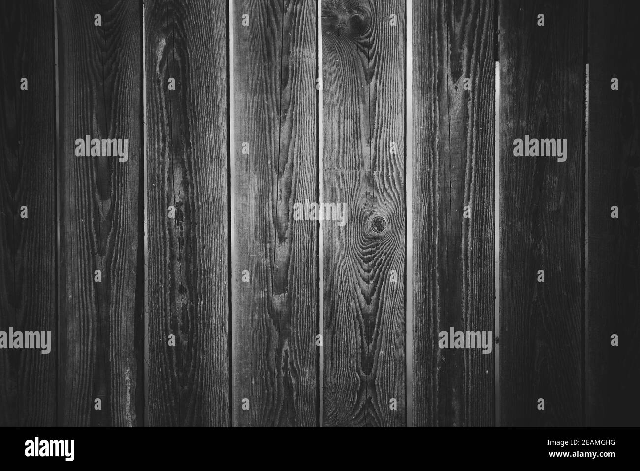 Tessitura di vecchie tavole, e la corteccia di un albero Foto Stock