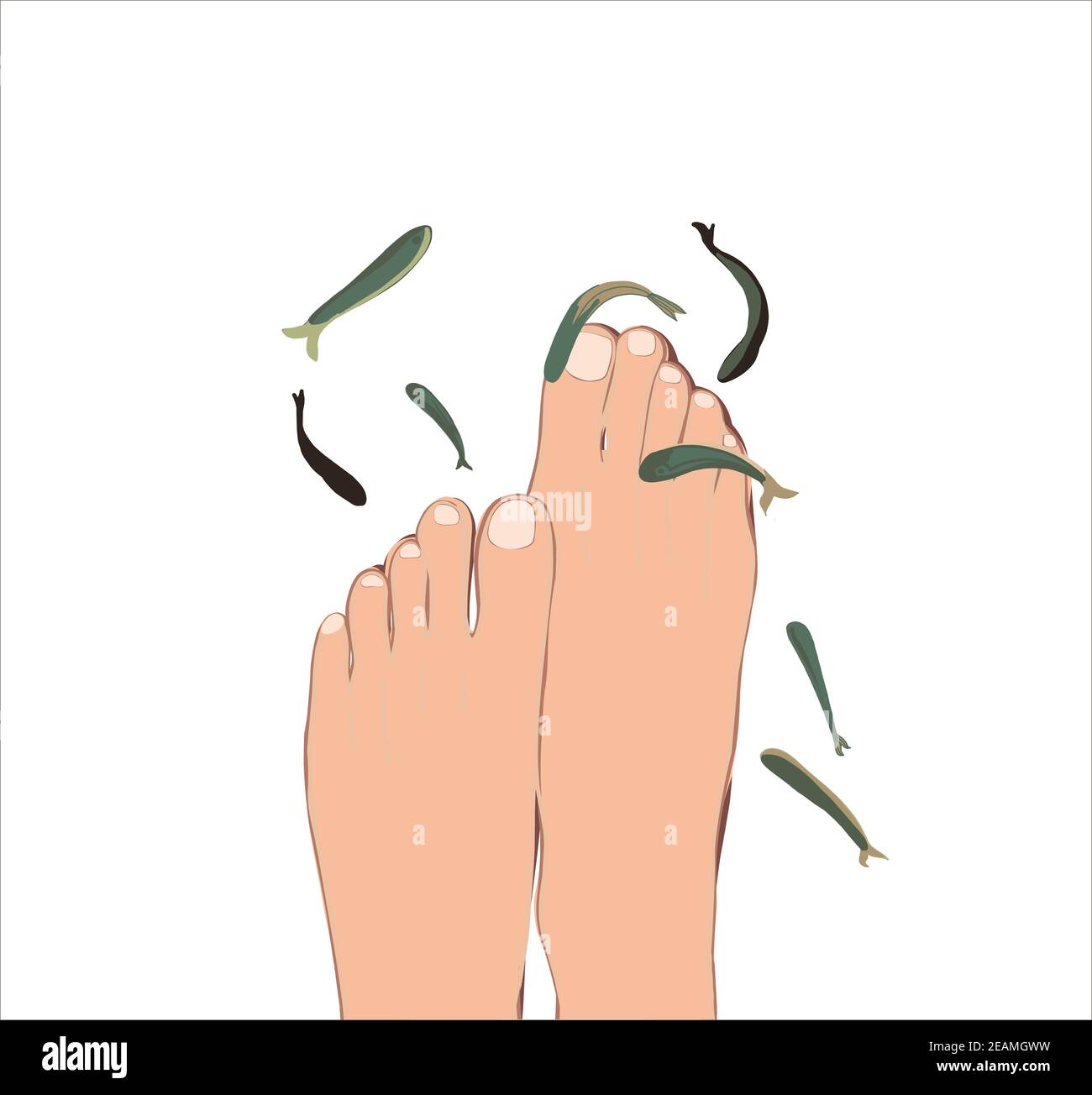 Peeling con pesce Garra Rufa. Pedicure in un salone di bellezza. Trattamento spa con pesce. Cura delle gambe Foto Stock