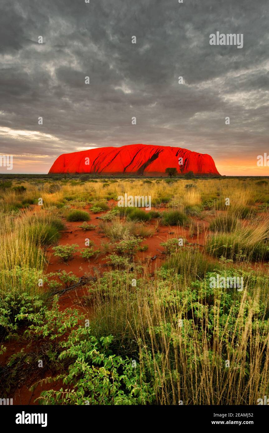 Il famoso Uluru riflette l'ultima luce del giorno. Foto Stock