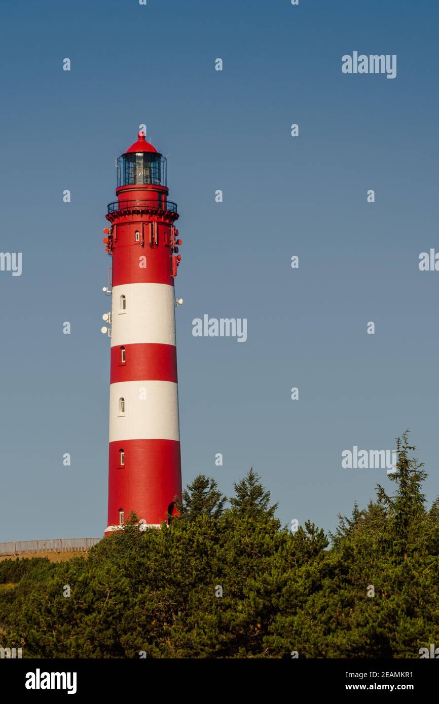 Faro di Amrum, Amrum, Mare del Nord, Isole Frisone del Nord, Schleswig-Holstein, Germania Foto Stock