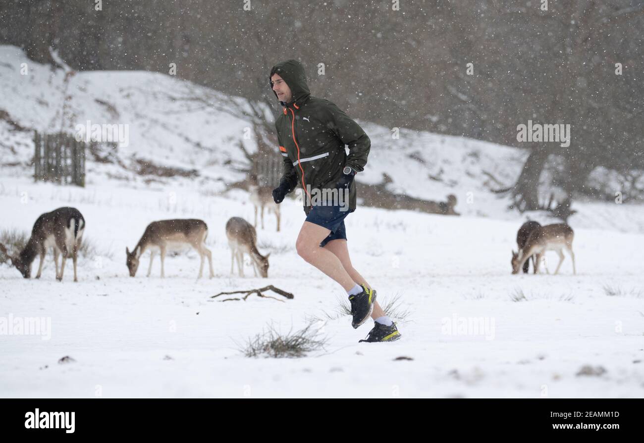 Una persona scherza nella neve mentre si fanno strada attraverso Knole Park, vicino Sevenoaks in Kent, come il freddo scatto continua a afferrare gran parte della nazione. Data immagine: Mercoledì 10 febbraio 2021. Foto Stock