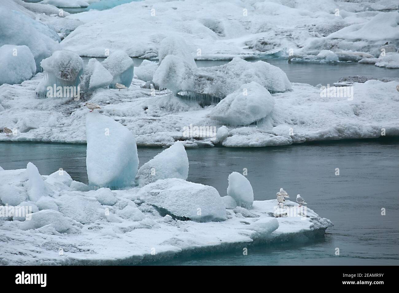 Il lago glaciale in Islanda Foto Stock