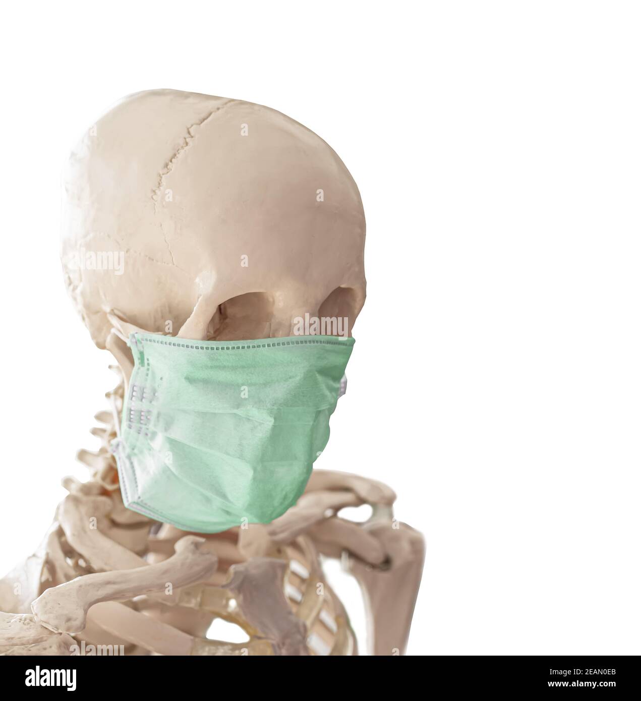 Cranio umano in semplice maschera medica sottile per la protezione contro infezione virale Foto Stock