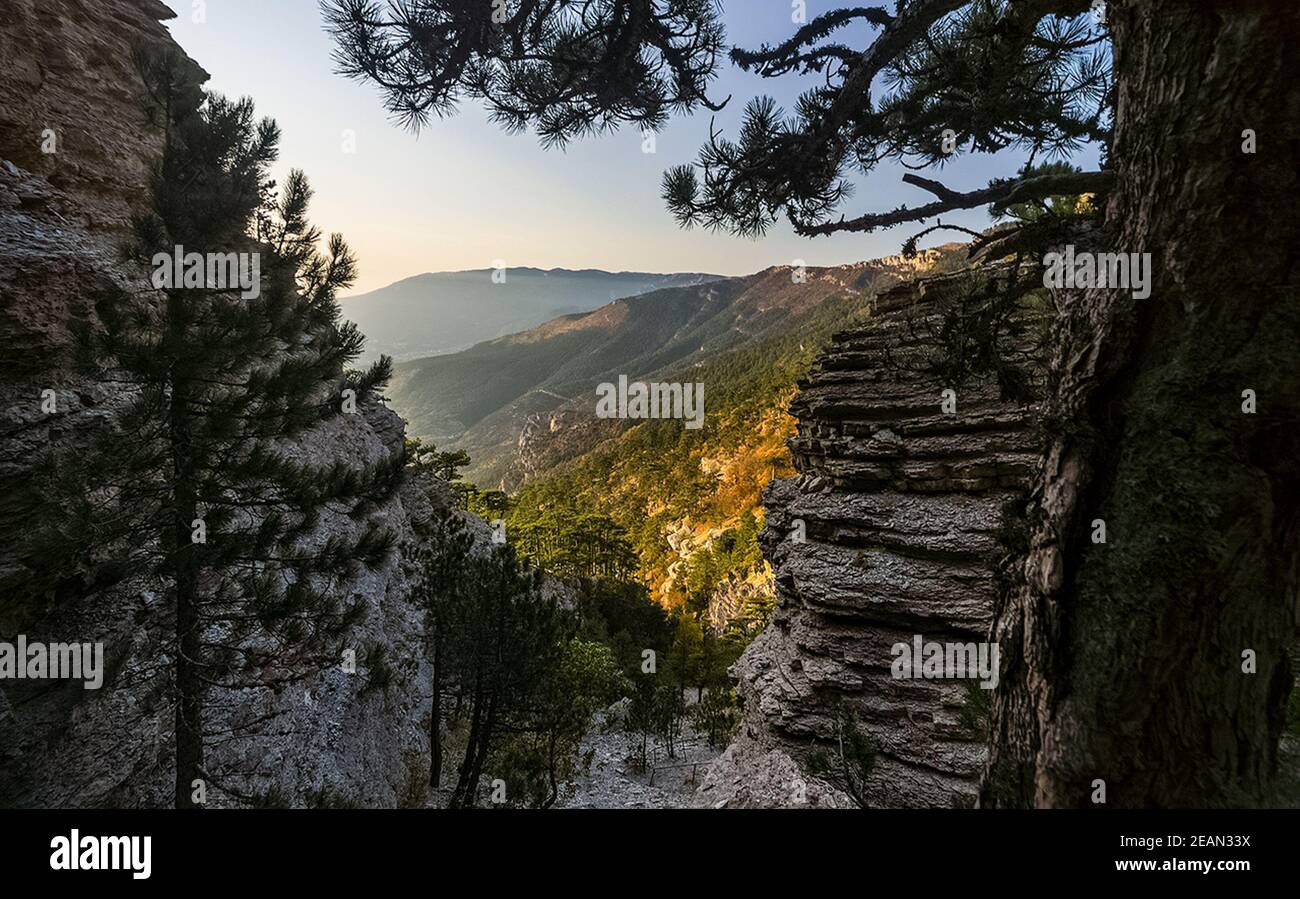 Montagne e foreste di Crimea. Alberi di conifere e decidui sulle colline di montagne e rocce Foto Stock