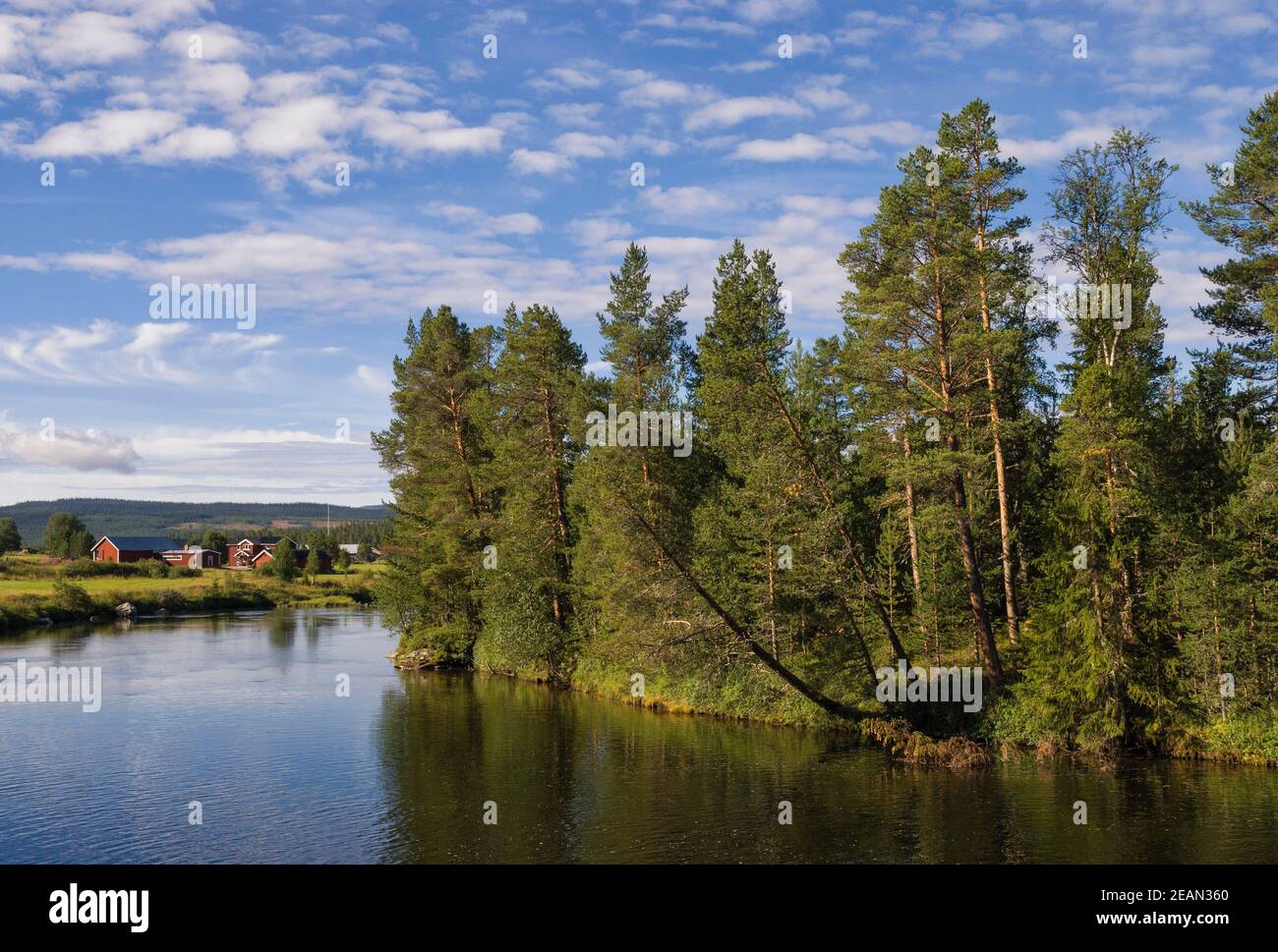 Vista sul fiume Ljusnan Foto Stock
