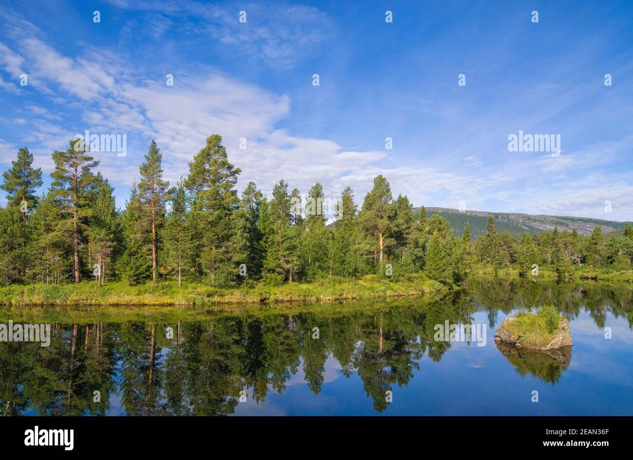 Il fiume Ljusnan Foto Stock