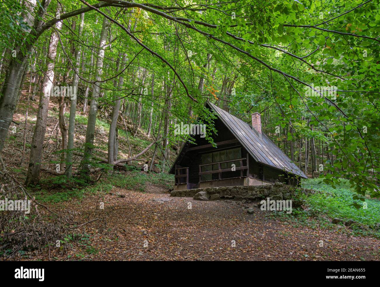 Schiarimento della foresta con una piccola capanna abbandonata Foto Stock