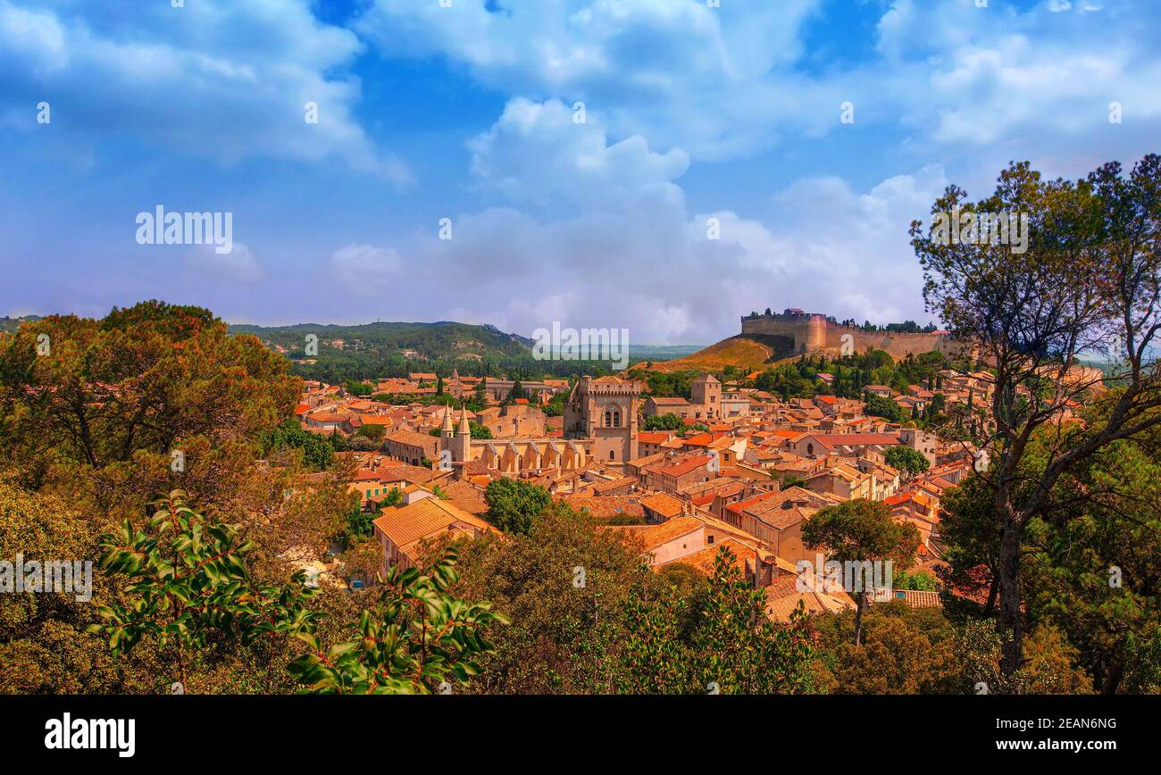 Ampia vista panoramica della città vecchia di Avignone, Francia Foto Stock
