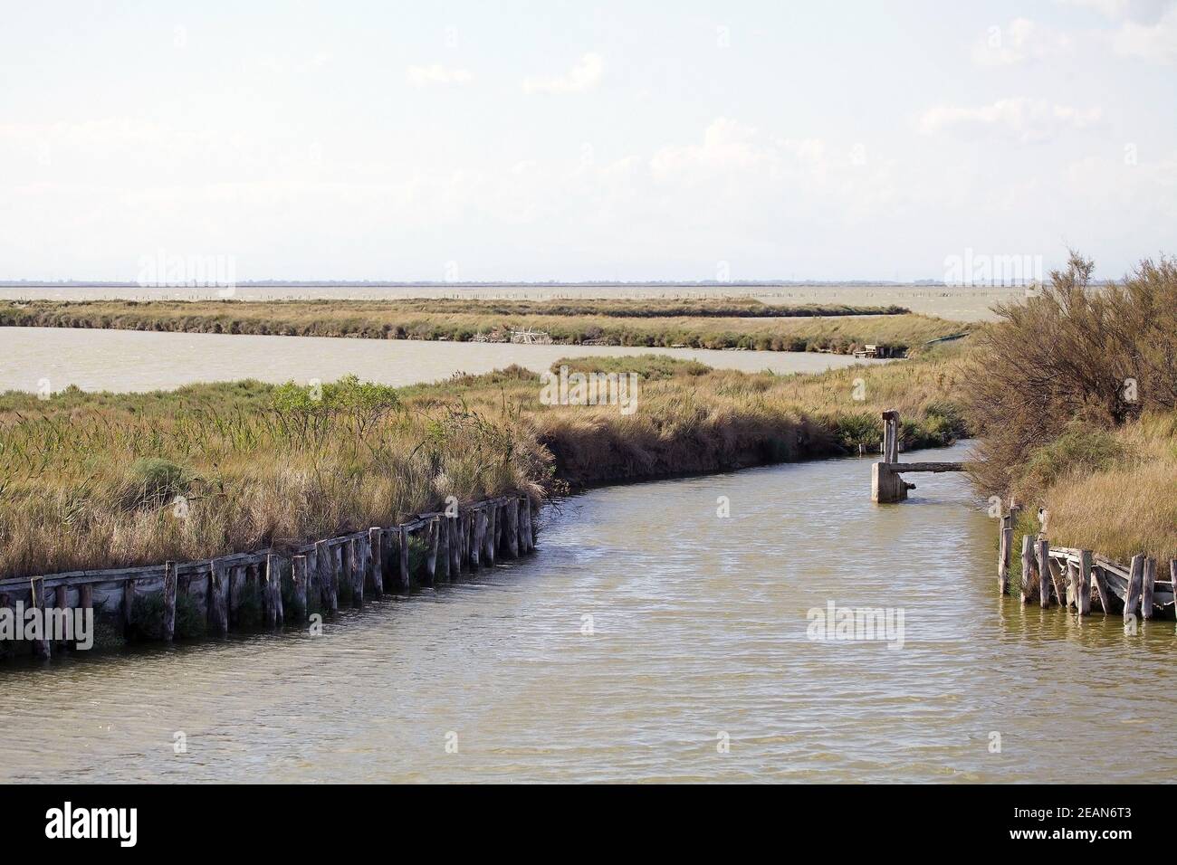 Le Valli di Comacchio, bacino ittico di Comacchio, Comacchio, Italia Foto Stock