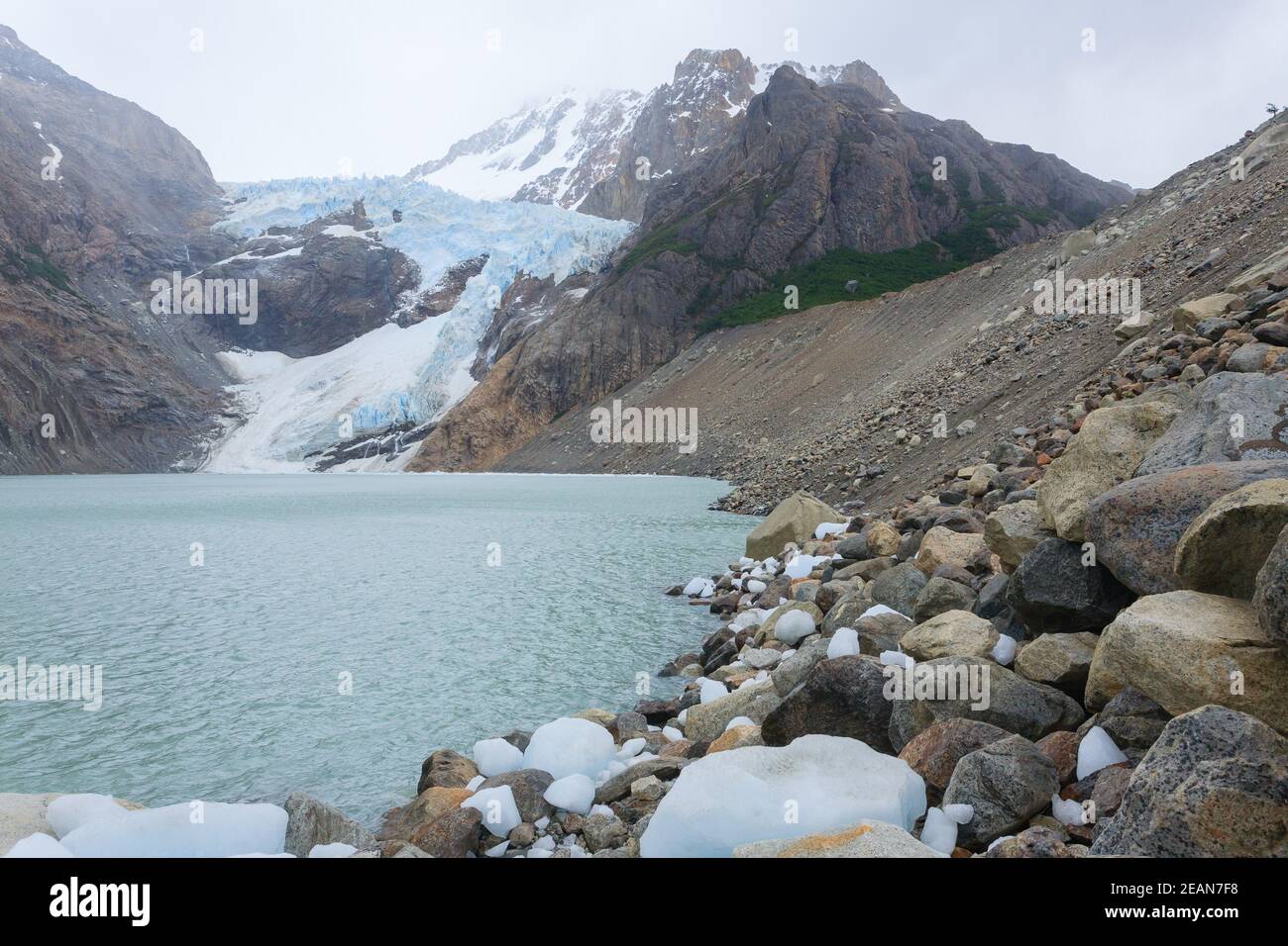 Piedras Blancas Glacier view, El Chalten, Patagonia Foto Stock