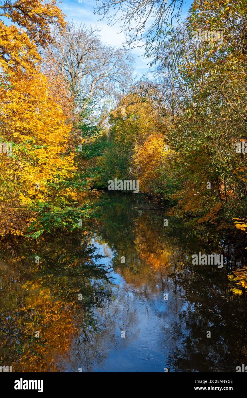 Autunno scenico con riflessi alberi in un fiume Foto Stock