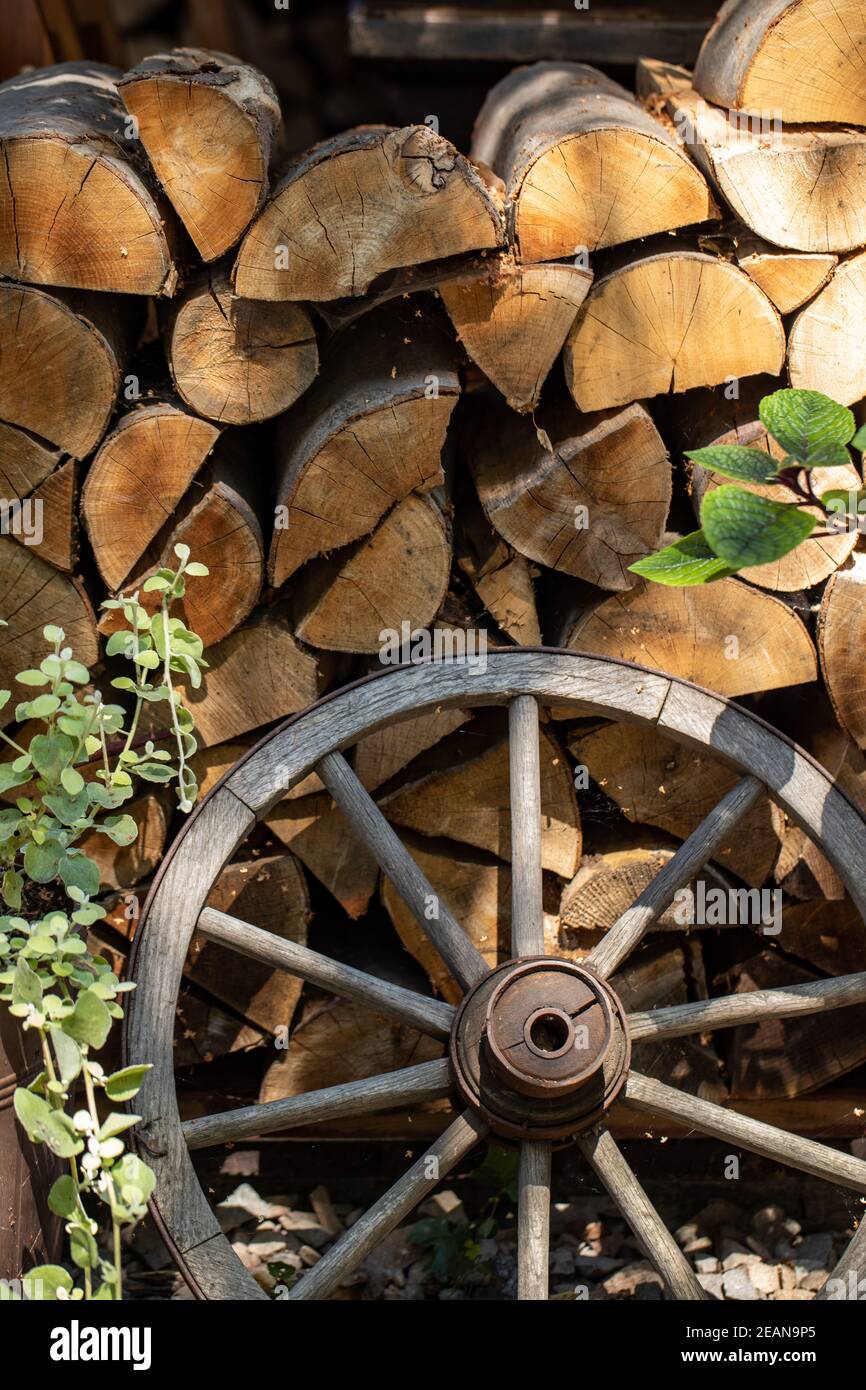 Ruota di legno da un carrello antico in piedi di fronte legna da ardere tagliata Foto Stock