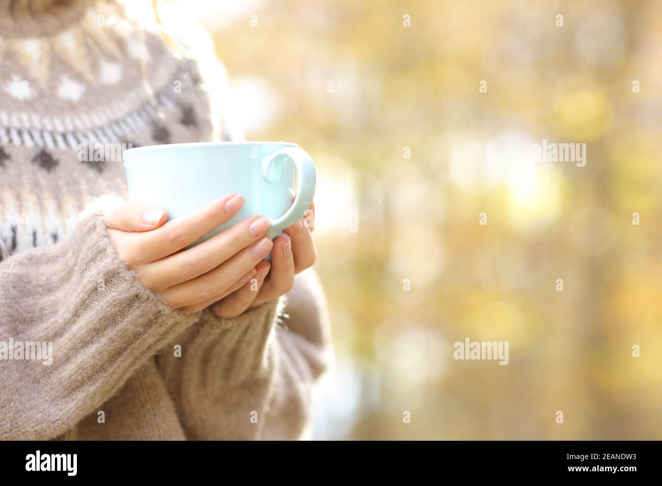 Le mani della donna tengono la tazza di caffè in inverno Foto Stock
