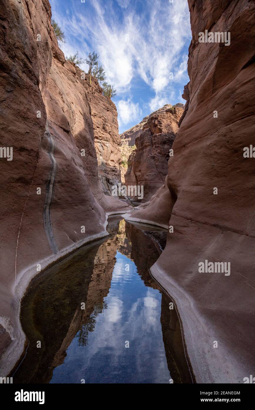 Acqua fresca in un canyon di slot a Mesquite Canyon, Sierra de la Giganta, Baja California sur, Messico, Nord America Foto Stock