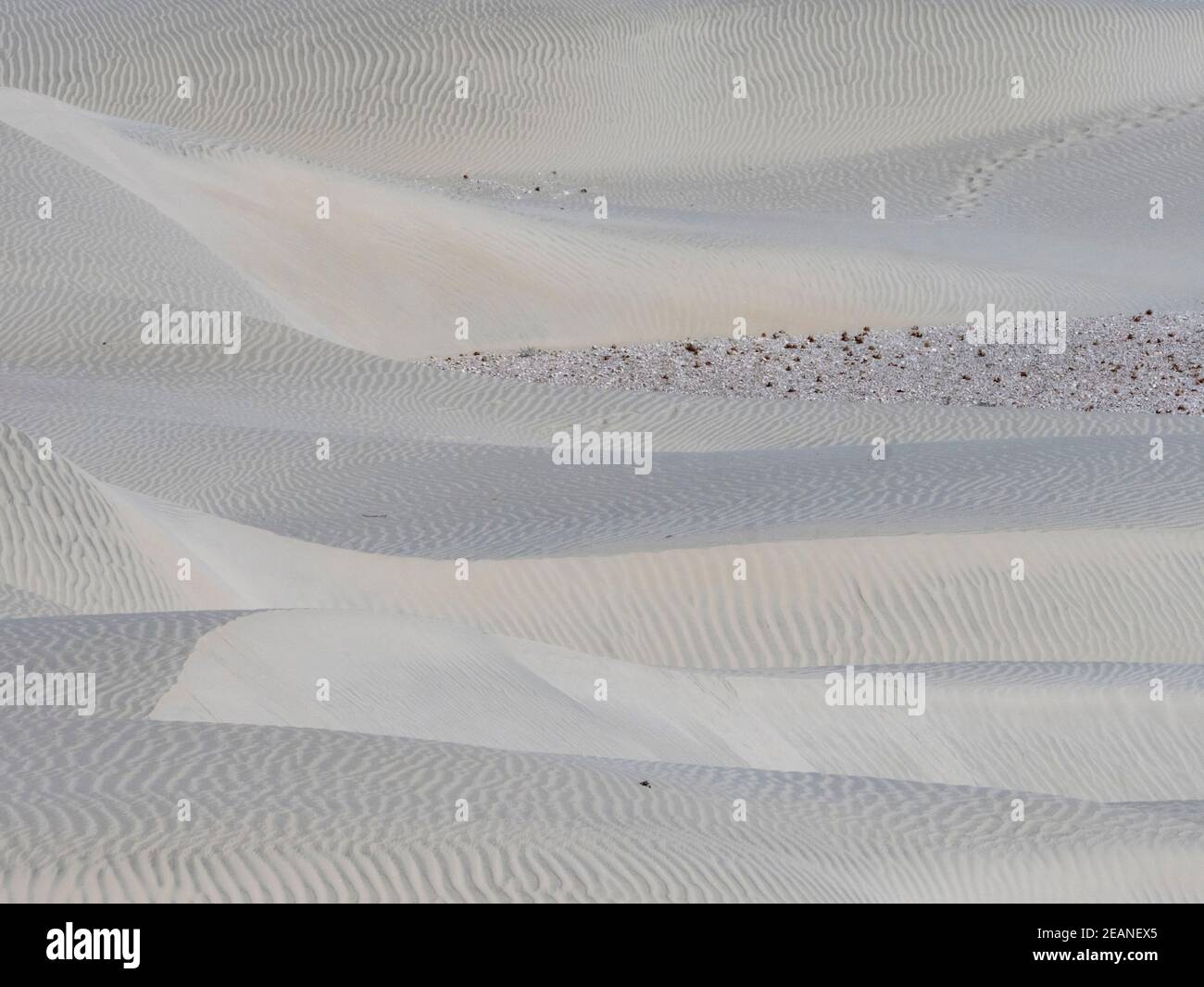 Le dune di sabbia del barkhan spazzate dal vento sull'isola barriera di Isla Magdalena, Baja California sur, Messico, Nord America Foto Stock