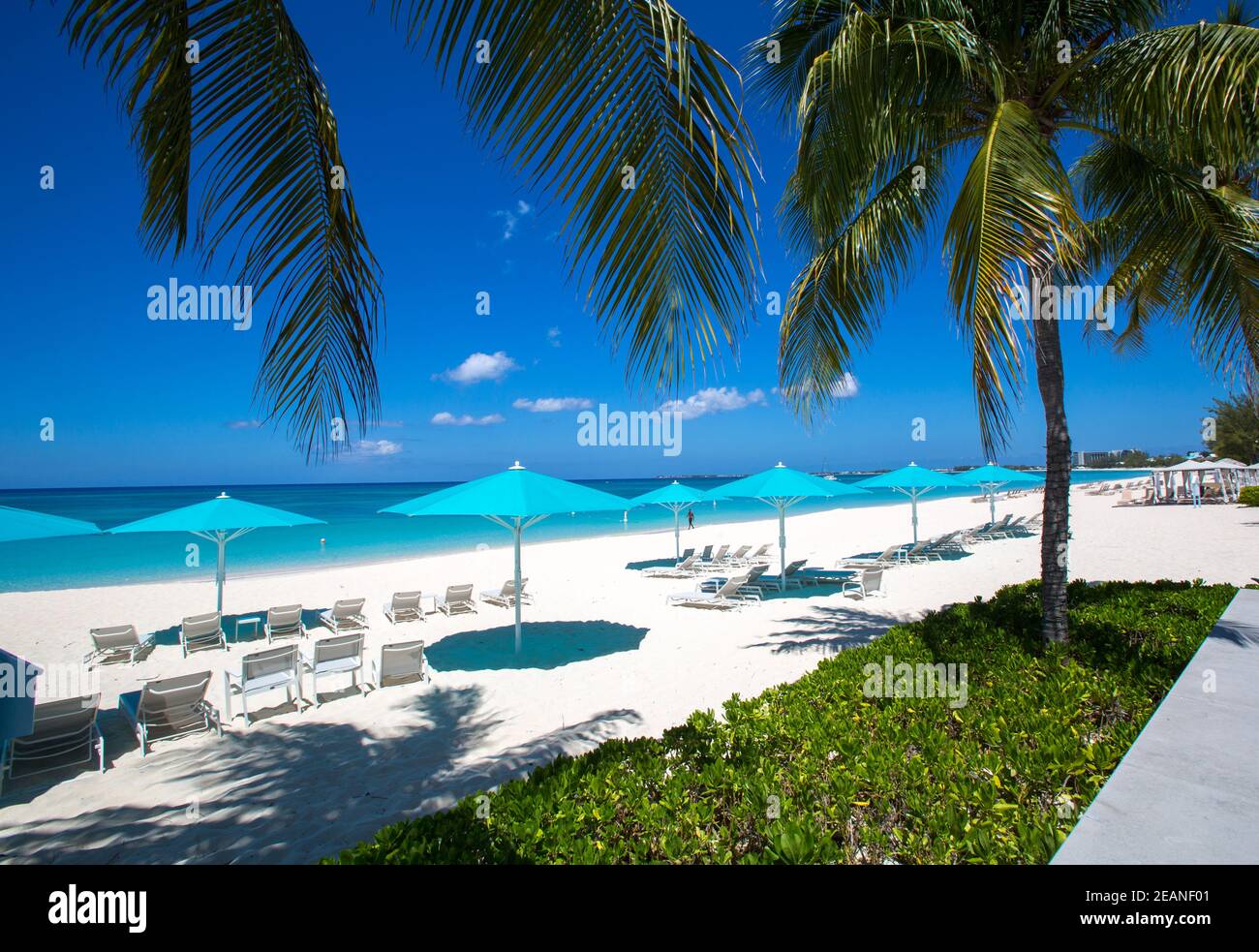 Grand Cayman Beach Deck Sedie ombrelloni blu sul bordo dell'acqua, Isole Cayman, Grand Cayman, Seven Mile Beach - Isole Cayman, sfondi, Spiaggia Foto Stock