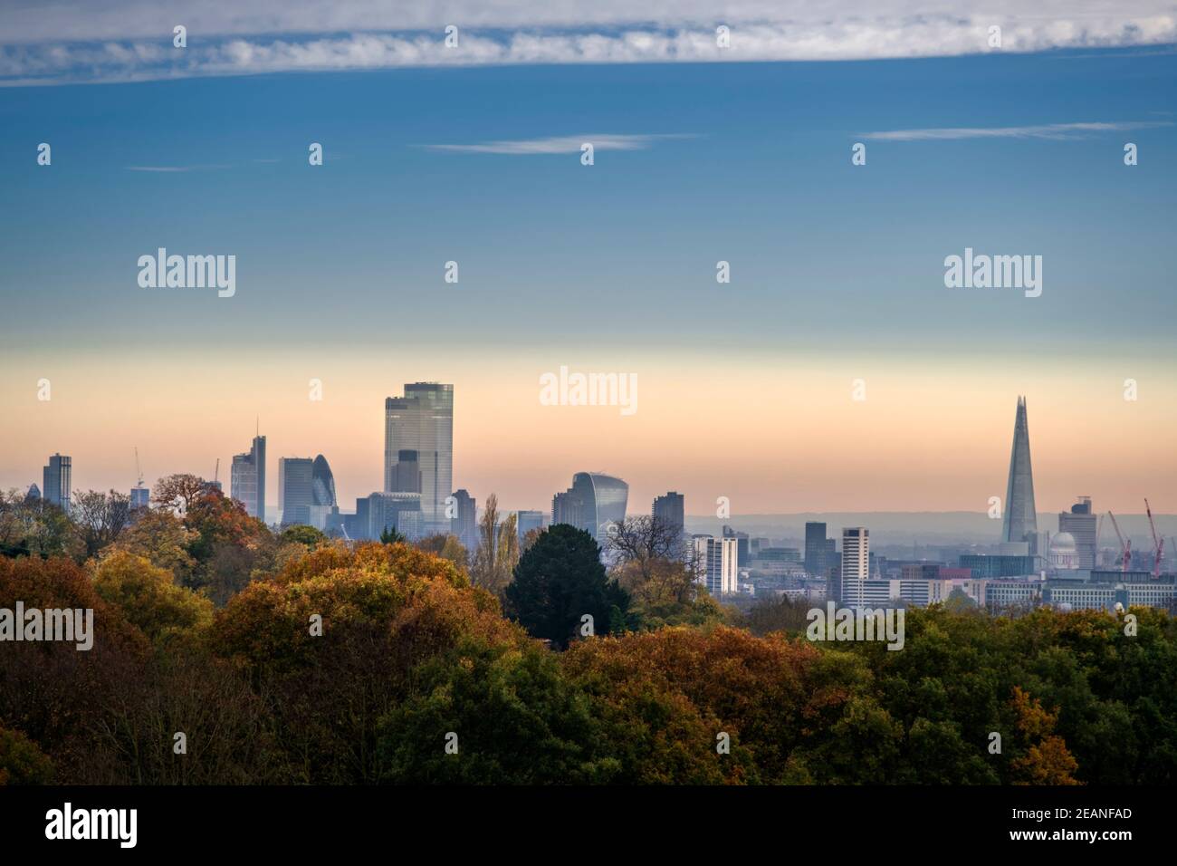 Woodland on Hampstead Heath in autunno, e City of London Financial District skyline, Highgate, Londra, Inghilterra, Regno Unito, Europa Foto Stock