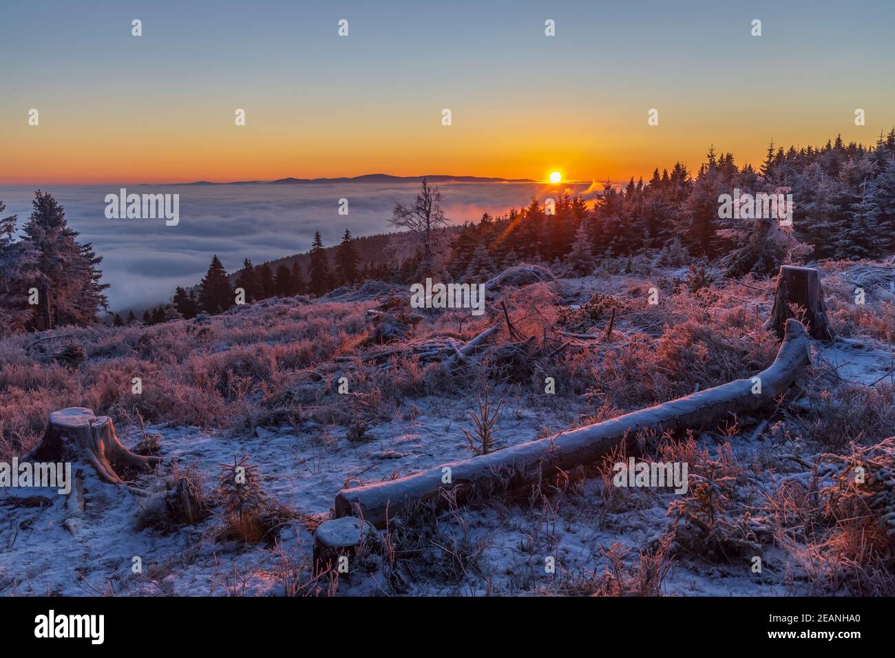 Alba nel paesaggio invernale vicino a Velka Destna, Orlicke montagne, Boemia orientale, Repubblica Ceca Foto Stock