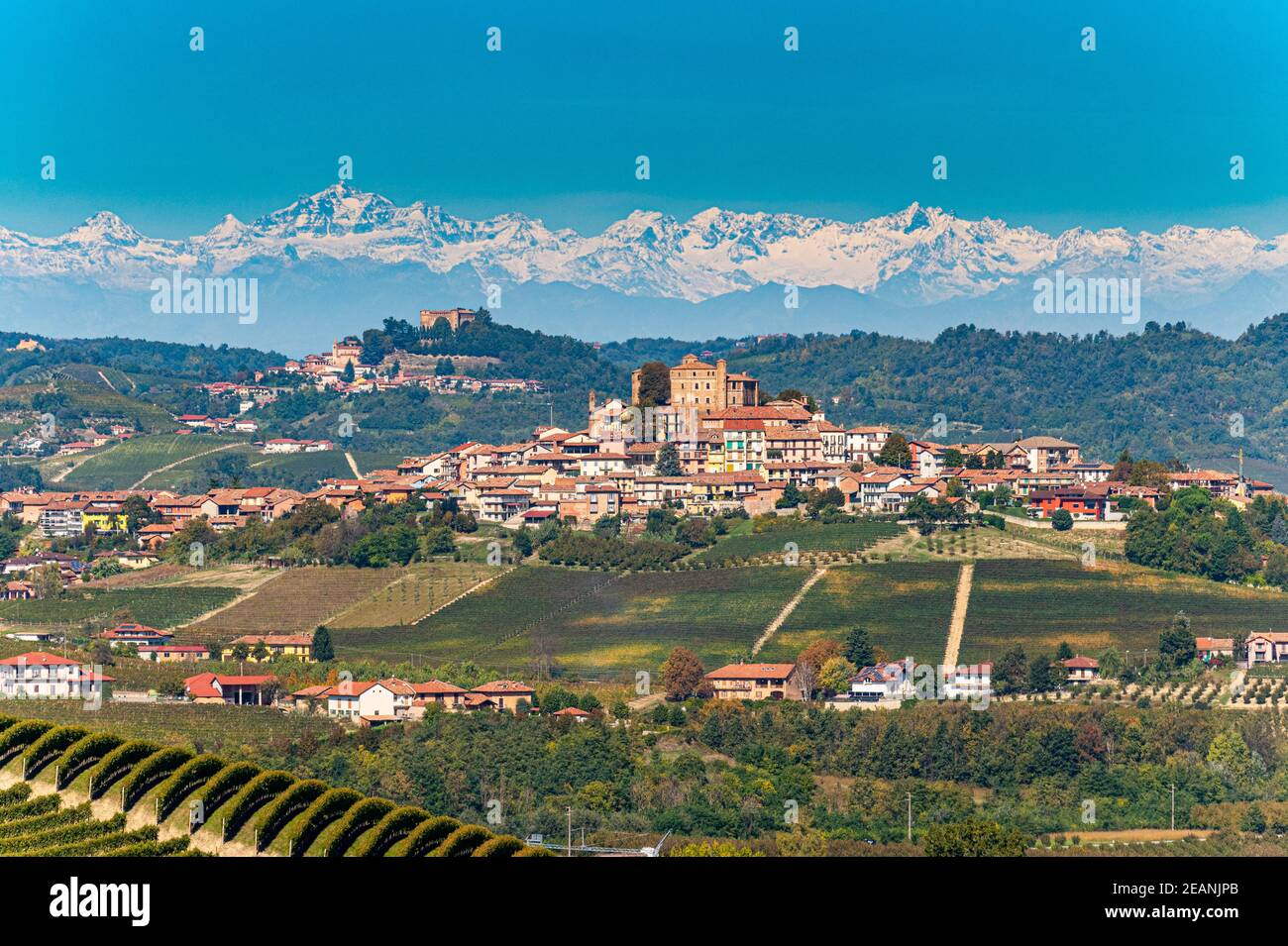 Vigneti con le Alpi alle spalle, regione del vino Barolo, Patrimonio dell'Umanità dell'UNESCO, Piemonte, Italia, Europa Foto Stock