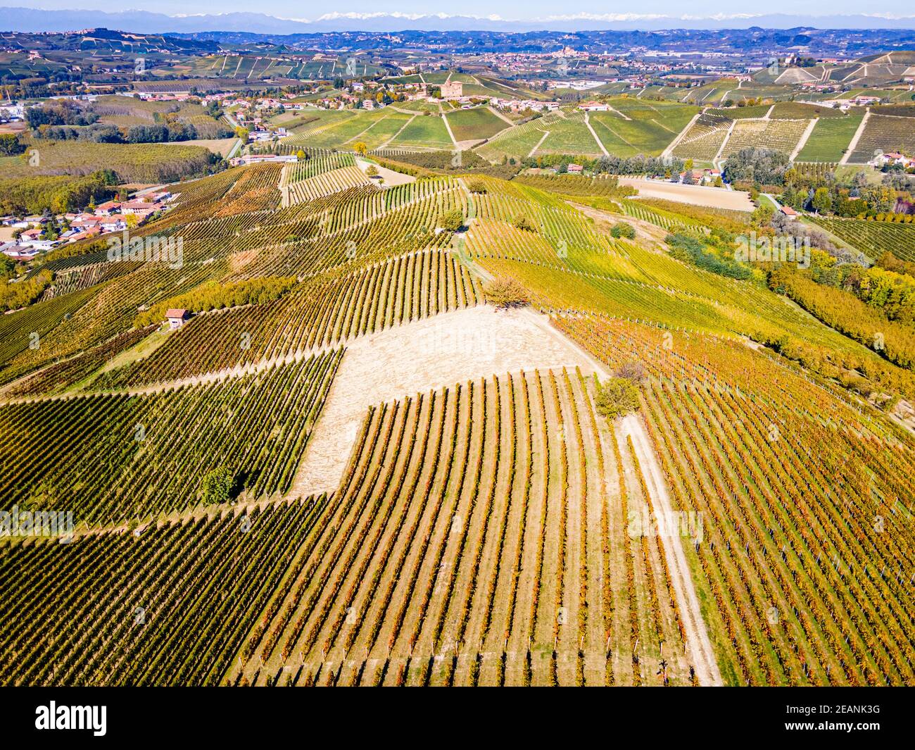 Aereo dei vigneti intorno al Castello di Grinzane Cavour, regione del vino Barolo, Patrimonio dell'Umanità dell'UNESCO, Piemonte, Italia, Europa Foto Stock