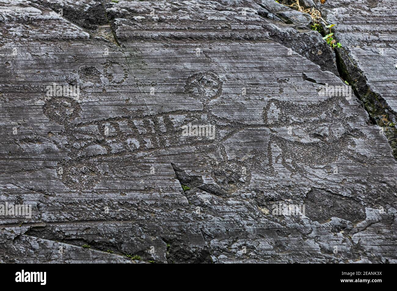 Incisioni rupestri, Parco Nazionale di Naquane, Patrimonio dell'Umanità dell'UNESCO, Valcamonica, Italia, Europa Foto Stock