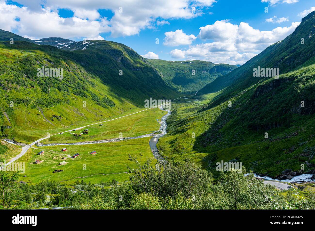 Valle verde vicino Skei, Vestland, Norvegia, Scandinavia, Europa Foto Stock