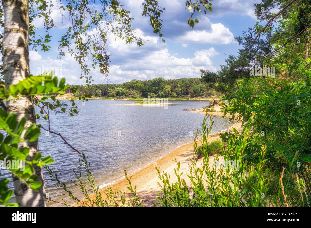 Piccola spiaggia di sabbia con isola su un lago sonato da boschi di betulla e pino. Foto Stock