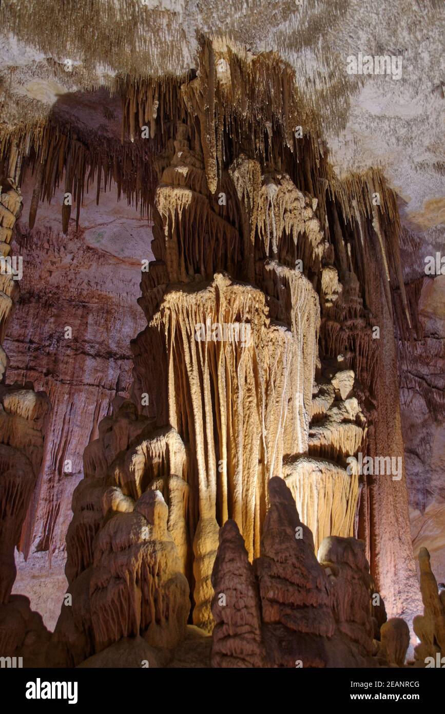 Colonne ornate formate da molte stalattiti pendenti e stalagmiti crescenti coalescenti, grotte di Drach (Cuevas del Drach), Mallorca, Spagna Foto Stock